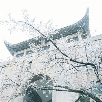 广州城市理工学院新增5个学士学位授予专业
